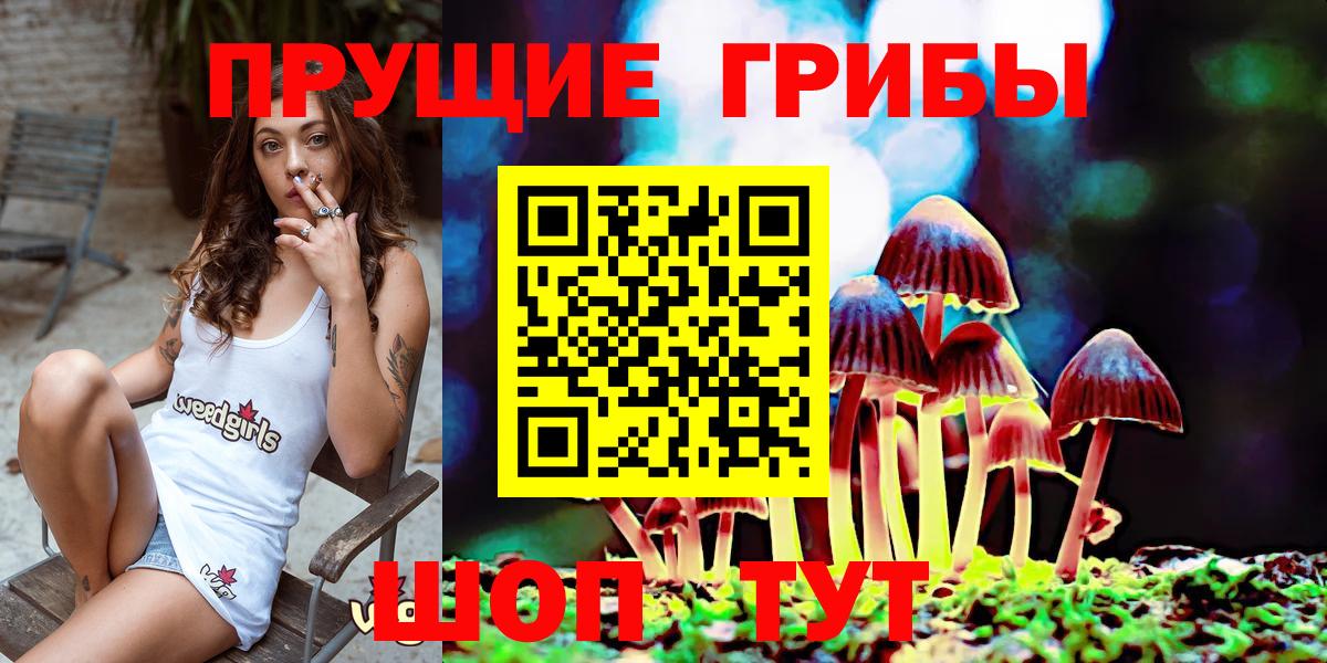 Галлюциногенные грибы ЛСД  Галлюциногенные грибы GOLDEN TEACHER  Минусинск  Вход с VPN 