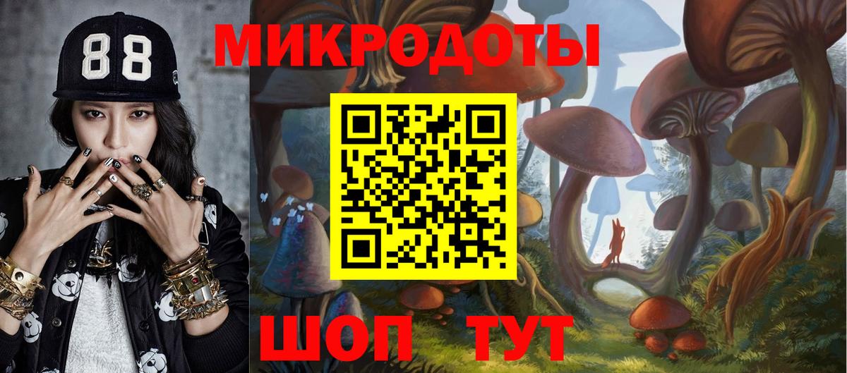 Псилоцибиновые грибы мухоморы Минусинск